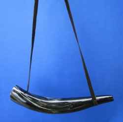 15-1/2 inches Polished Viking Blowing Horn with Leather Carry Strap - $19.99