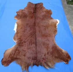 Brown Goat Hide, Skin 43 by 31 inches for $44.99