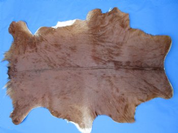 Brown Goat Hide, Skin 43 by 31 inches for $44.99