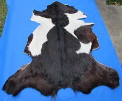 Black and White Goat Hide, Skin 43 by 35 inches for $44.99