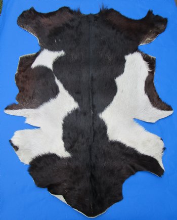 Black and White Goat Hide, Skin 43 by 35 inches for $44.99
