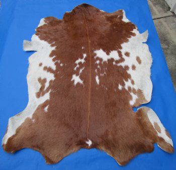 Auburn Brown and White Goat Skin, Hidde 41 by 32 inches for $44.99