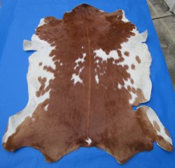 Auburn Brown and White Goat Skin, Hidde 41 by 32 inches for $49.99
