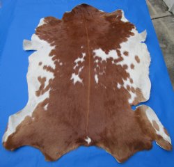 Auburn Brown and White Goat Skin, Hidde 41 by 32 inches for $44.99