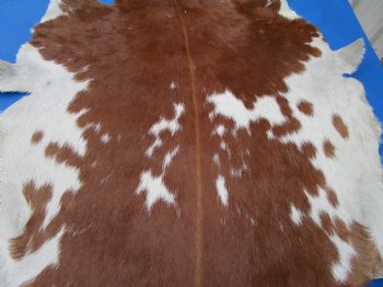 Genuine Auburn Brown and White Goat Skin, Hidde 41 by 32 inches for $44.99