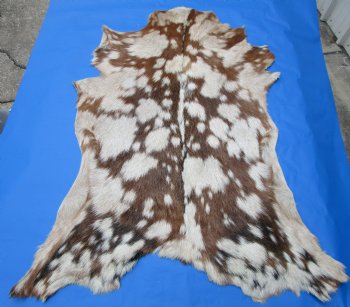 Auburn and Tan Goat Skin, Hide 45 by 33 inches for $44.99