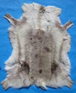 Light Colored Reindeer Hide, Skin, Fur 48 by 42 inches for $154.99