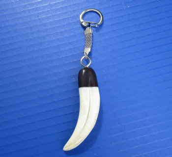 Genuine Warthog Tusk Key Chain for $24.99 (Plus $5.00 Postage)