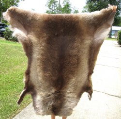 Authentic Finland Reindeer Hide, Skin, Fur 45 by 42 inches for $154.99