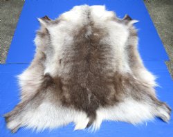 42 by 38 Finland Reindeer Skin, Hide for Sale