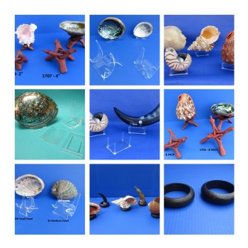 Abalone Shell Stands