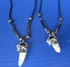 Two Authentic Alligator Tooth Necklaces for Sale with Gator Tooth Pendants - $6.50 each (Plus $5 Postage)