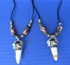 Two Genuine Alligator Tooth Necklace with Black, Red, Gold Racing Beads - $6.50 each (Plus $5 postage)