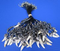 Alligator Tooth Necklace with Black and White Tube Shaped Beads  - 3 @ $7.50 each