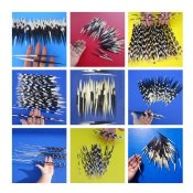 Wholesale African Porcupine Quills