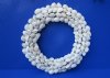 10 to 11 inches White Seashell Wreath made out of Tiny  White Ribbed Cockle Shells - Packed 1 @ $11.65 each