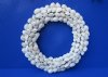 10 to 11 inches White Seashell Wreath made out of Tiny  White Ribbed Cockle Shells - $11.65 each