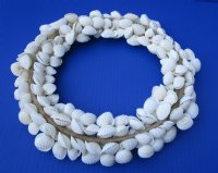 10 to 11 inches White Seashell Wreath made out of Tiny  White Ribbed Cockle Shells - $11.65 each