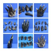Alligator Feet 