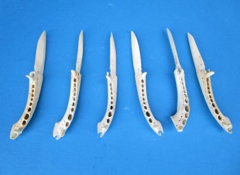  Alligator Bone Knives <font color=red> Wholesale</font>, 6 inches - 12 @ $9.00 each