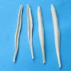 2-1/2 to 3 inches Coyote Baculum for Sale, Mountain Man Toothpicks - Pack of 12 @ <font color=red> $3.15 each</font> (Plus $6.00 First Class Mail)