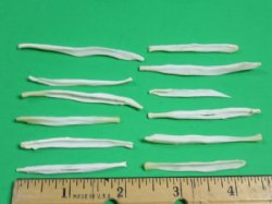 Fox Penis Bones, Mountain Man Toothpicks 2 to 2-1/2 inches - 5 @ $4.75 each