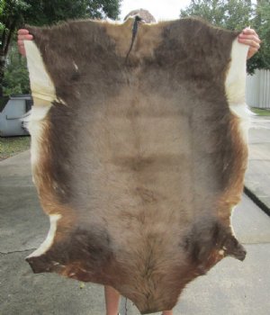 Blesbok Hides, Skins