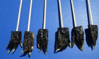 Large Alligator Foot Back Scratchers 20 inches <FONT COLOR=RED> Wholesale</font> -30 @ $3.15 each