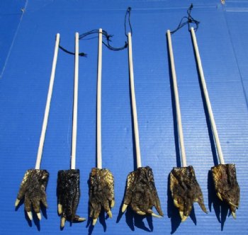 Real Alligator Foot Back Scratchers 20 to 22 inches long with 2 to 3 inch gator's foot - 5 @ $6.50 each 
