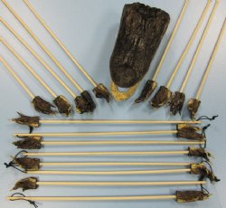 Real Alligator Foot Back Scratchers 20 to 22 inches long with 2 to 3 inch gator's foot - 5 @ $4.80 each 
