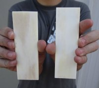 Bone Knife Scales