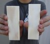 Bone Knife Scales