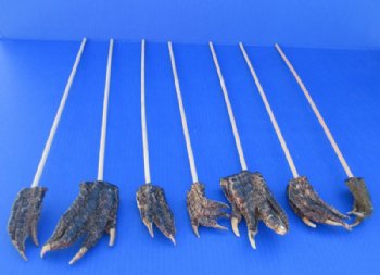 Wholesale Real Alligator Foot Back Scratchers (Pack/Bulk) - 72 @ $3.60 each;