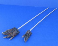 Wholesale Real Alli...