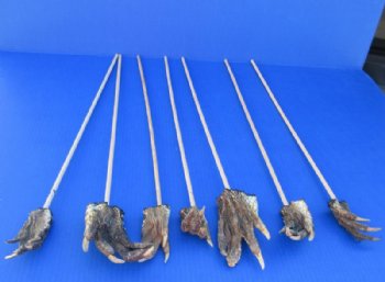 Wholesale Real Alligator Foot Back Scratchers (Pack/Bulk) - 72 @ $3.60 each;