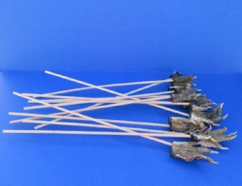Wholesale Real Alligator Foot Back Scratchers (Pack/Bulk) - 72 @ $3.60 each;
