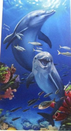 30 by 60 inches Wholesale Two Dolphins on Reef Velour Beach Towels With Hanger - Case of 12 @ $7.50 each 