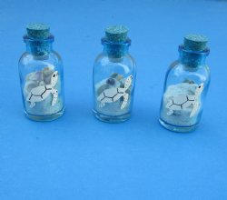 Tiny Souvenir Bottles of Sand and Shells with Turtle Decal, 2 by 1 inch - Box of 25 @ $1.44 each