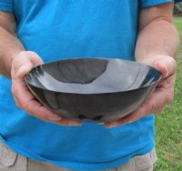 6 inches Round Buffalo Horn Bowl - $16.80 each