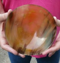 6 inches Round Buffalo Horn Bowls <font color=red> Wholesale </font> -  8 @ $12.00 each; 12 @ $10.50 each