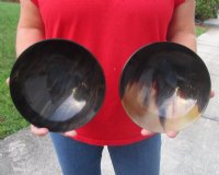 7 inches Round Buffalo Horn Bowl - $12.80 each