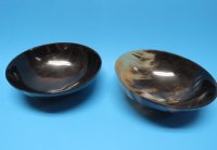 8 inches Authentic Round Horn Bowl - $20.99 each