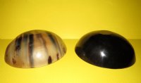 8 inches Genuine Water Buffalo Horn Bowls <font color=red> Wholesale</font>  - 7 @ $13.25 each