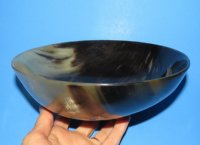 8 inches Genuine Water Buffalo Horn Bowls <font color=red> Wholesale</font>  - 7 @ $13.25 each