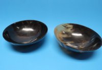 8 inches Genuine Water Buffalo Horn Bowls <font color=red> Wholesale</font>  - 7 @ $13.25 each