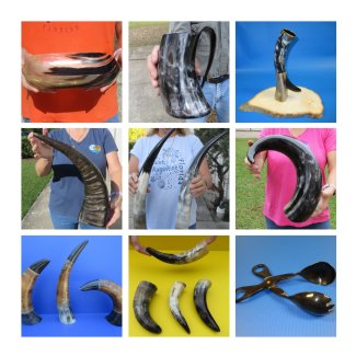 Buffalo and Cow Horns