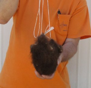 Bison Scrotum Real Buffalo Ball Bag Oddity Nutsack Gag Gift Fall Bag Art 