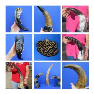 Carved Cattle and Cow Horns