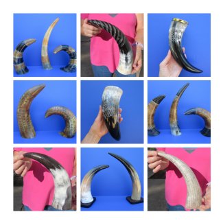 Decorative Horn Decor