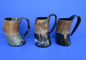 16 ounce Carved, Polished Viking Horn Beer Mug, 6 inches tall - $32.99 each